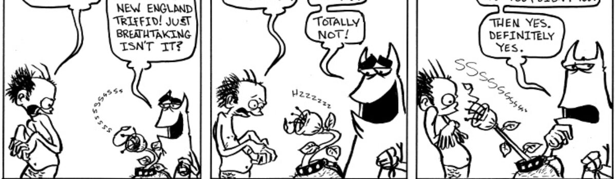 I think there was a pigeon in there too.