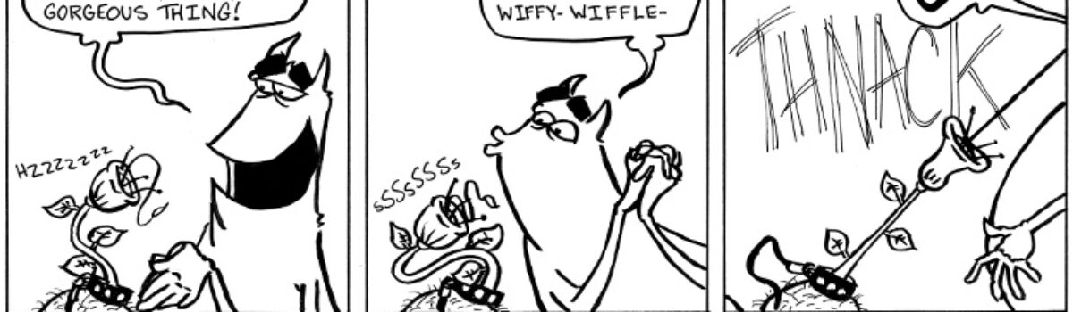 Beauty is in the eye of the beholder.