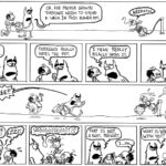 Birds, bees and botany