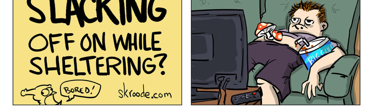 What have we been slacking off on while sheltering?