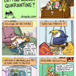 How are our pets getting through quarantine?