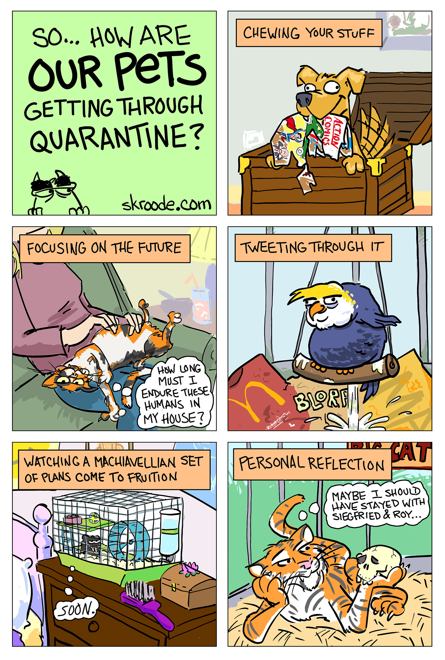 HOw are our pets getting through quarantine?
