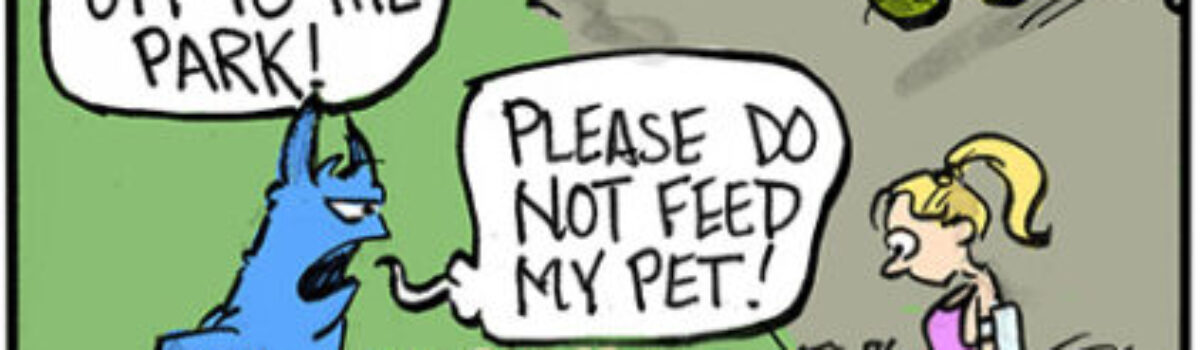 I was walking through the park one day….